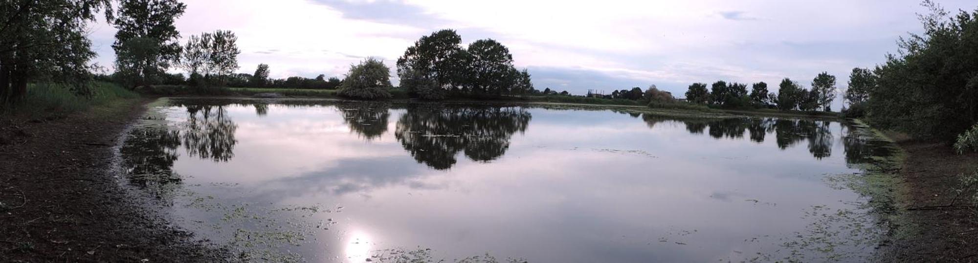 Agriturismo Valle Isola La Tana del Gusto Villa Comacchio Esterno foto