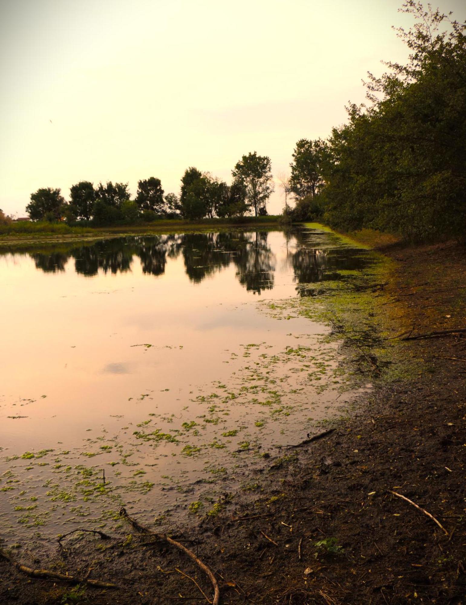 Agriturismo Valle Isola La Tana del Gusto Villa Comacchio Esterno foto