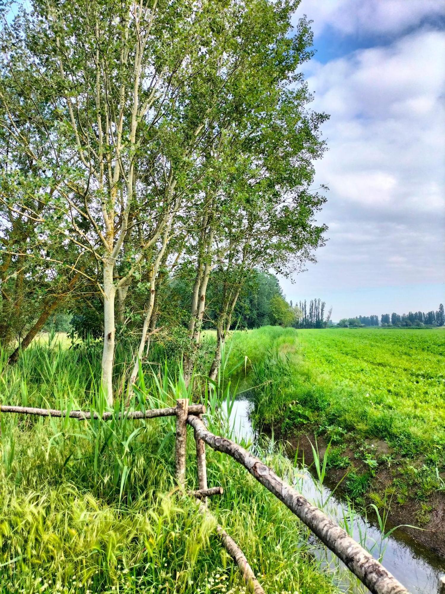 Agriturismo Valle Isola La Tana del Gusto Villa Comacchio Esterno foto