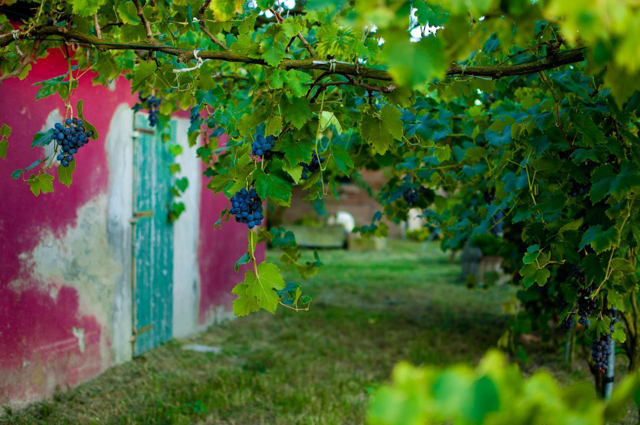 Agriturismo Valle Isola La Tana del Gusto Villa Comacchio Esterno foto