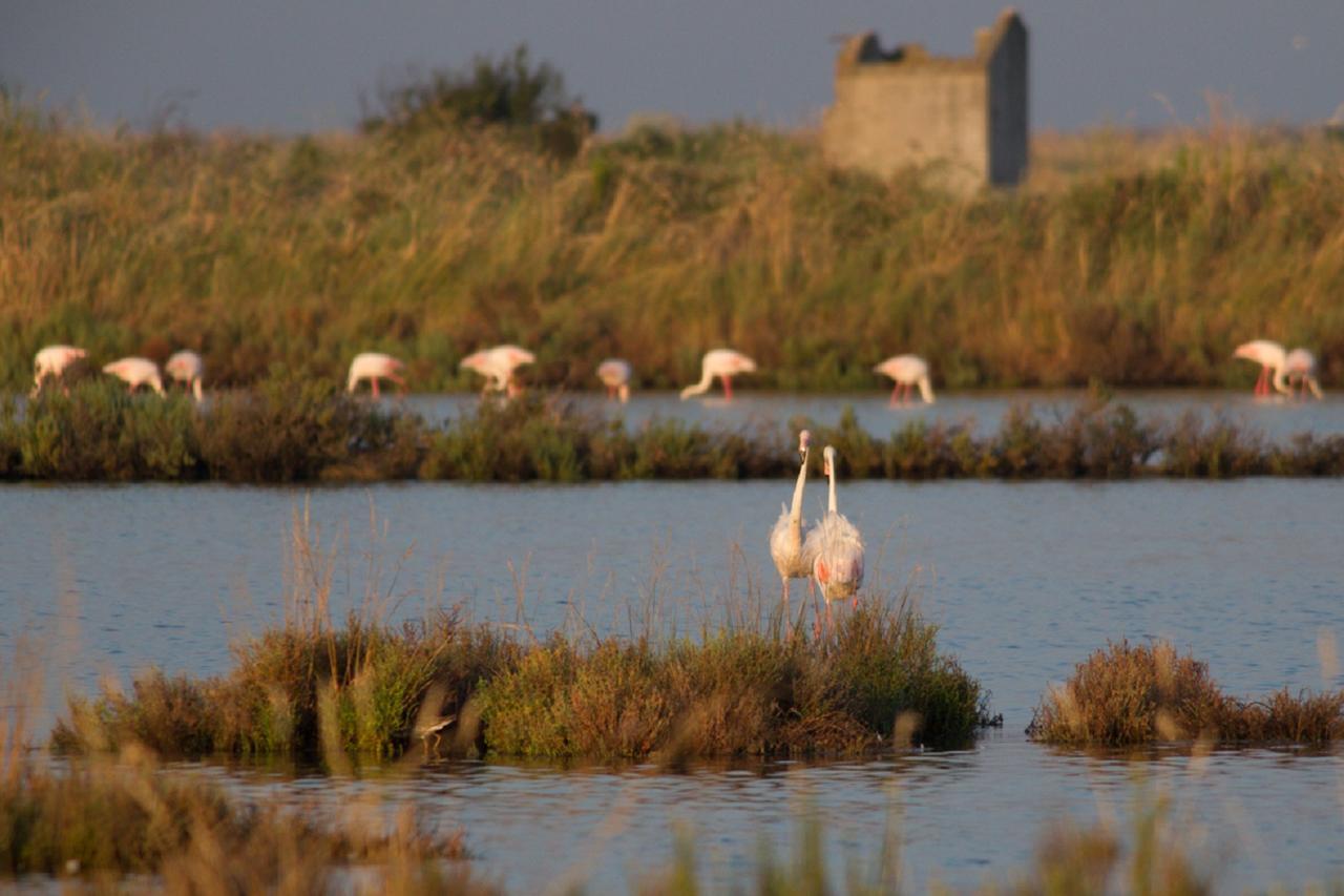 Agriturismo Valle Isola La Tana del Gusto Villa Comacchio Esterno foto